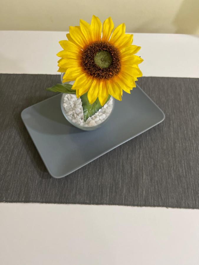 Apartment Sunflower021 Novi Sad Luaran gambar